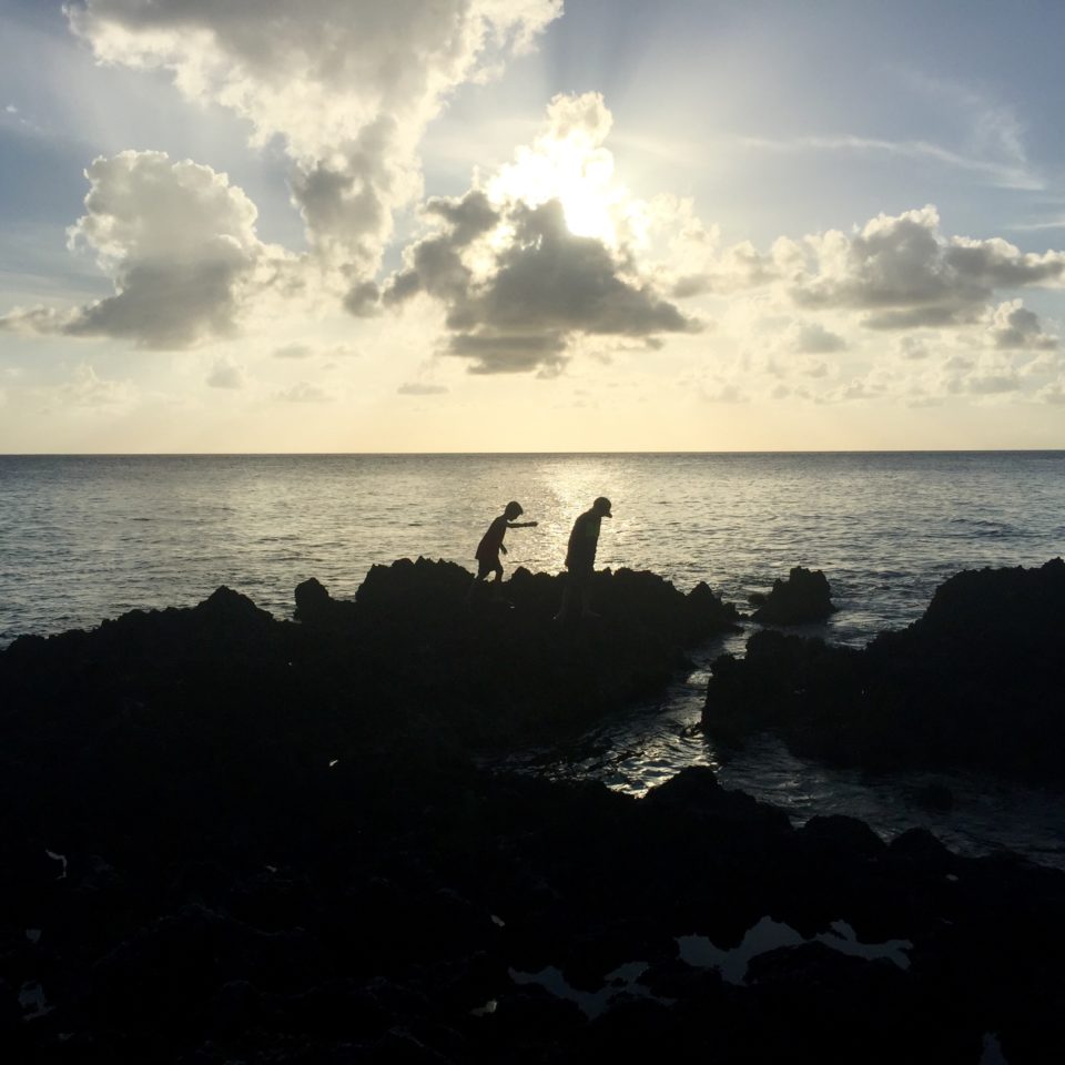The gift of curiosity ~ Crystal Gornto | HeartStories