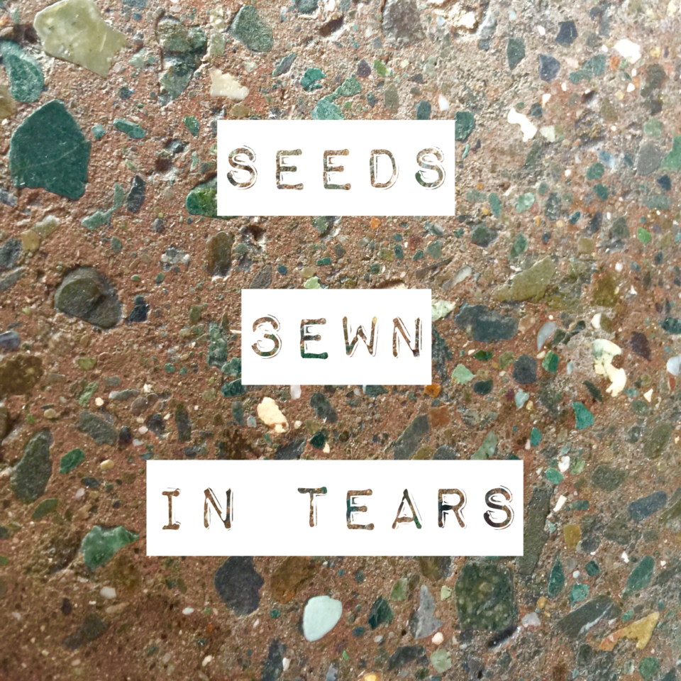 Seeds sewn in tears ~ Crystal Gornto | heartstories