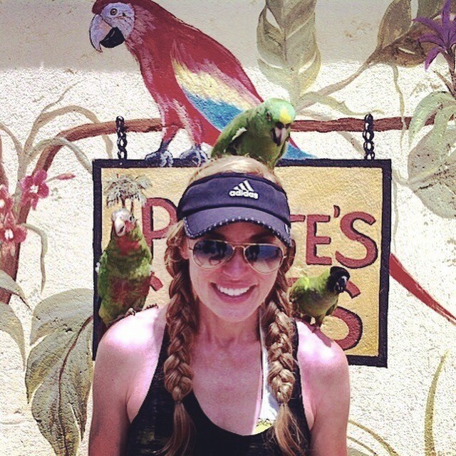 Who are you bird pic