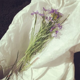 Gift of wild flowers