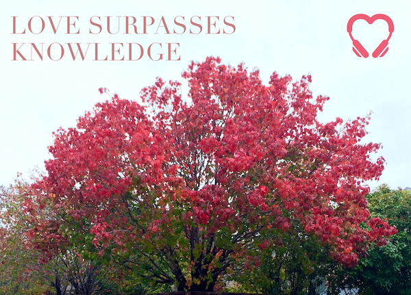 Love Surpasses Knowlege HeartStories