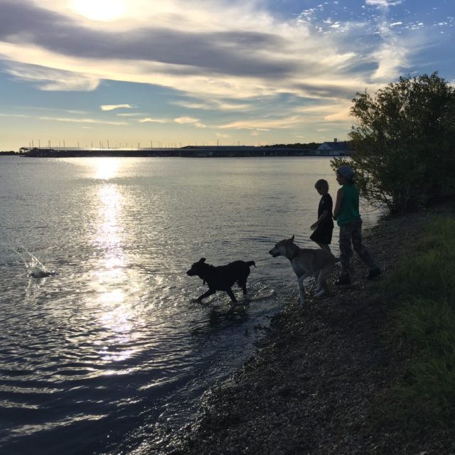 the-boys-and-dogs-at-the-lake