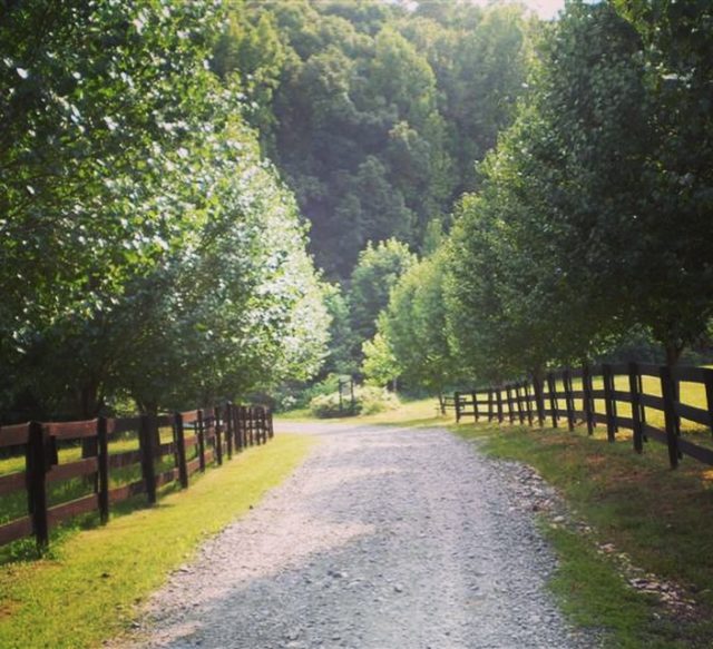 the-road-home