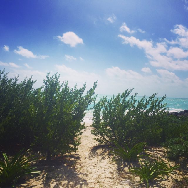 40th-birthday-trip-crystal-gornto-heartstories