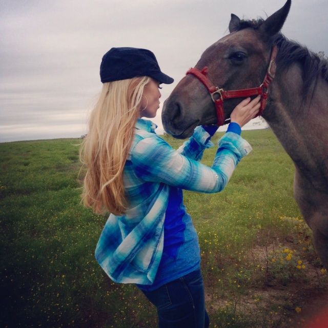 Growth & Comfort can't ride the same horse, Crystal Gornto | heartstories.com